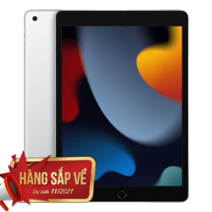 iPad Gen 9 - 256GB