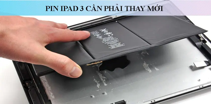 thaypin-bison-ipad3-sieubanre