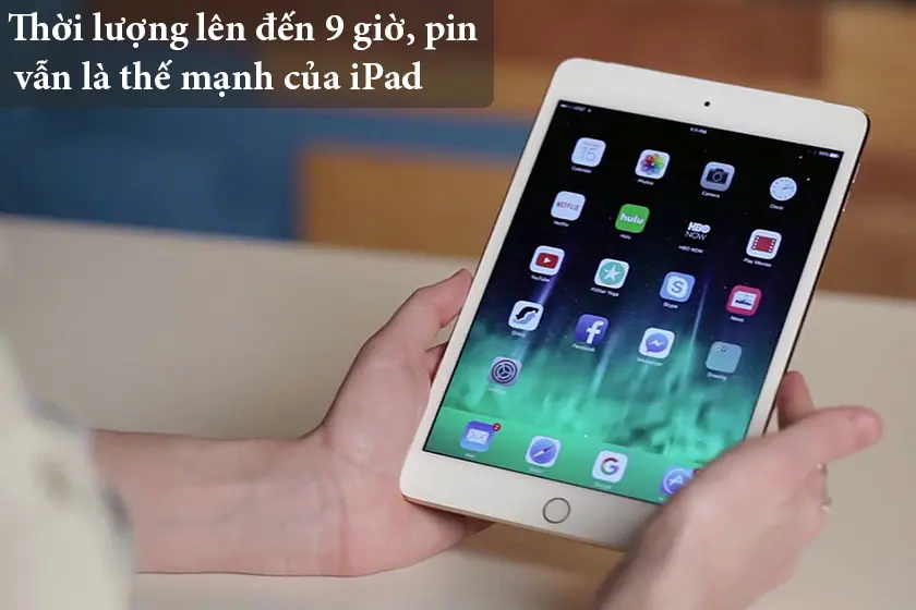 thaypin-bison-ipadmini4-sieubanre